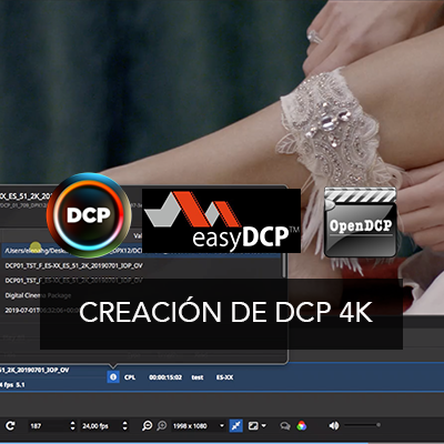 CURSO ONLINE CRACIÓN DE DCP