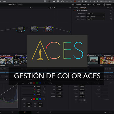 Curso online aces color management